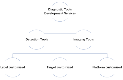 SdAb-based Diagnostic Tools Development Services