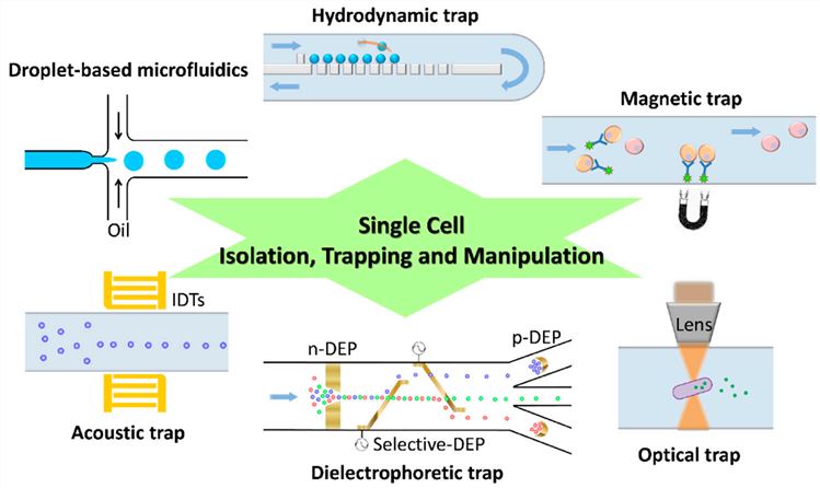 Schematic diagram of diverse approaches for the isolation, trapping and manipulation of single cells in a microfluidic device.