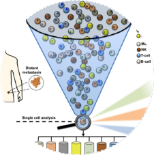Single Cell Analysis based on Microfluidics