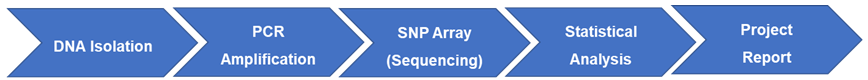 Fig.1 DNA restriction endonuclease analysis. (Creative Biolabs Original)