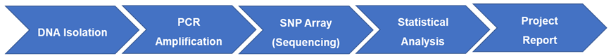 SNP analysis methods.