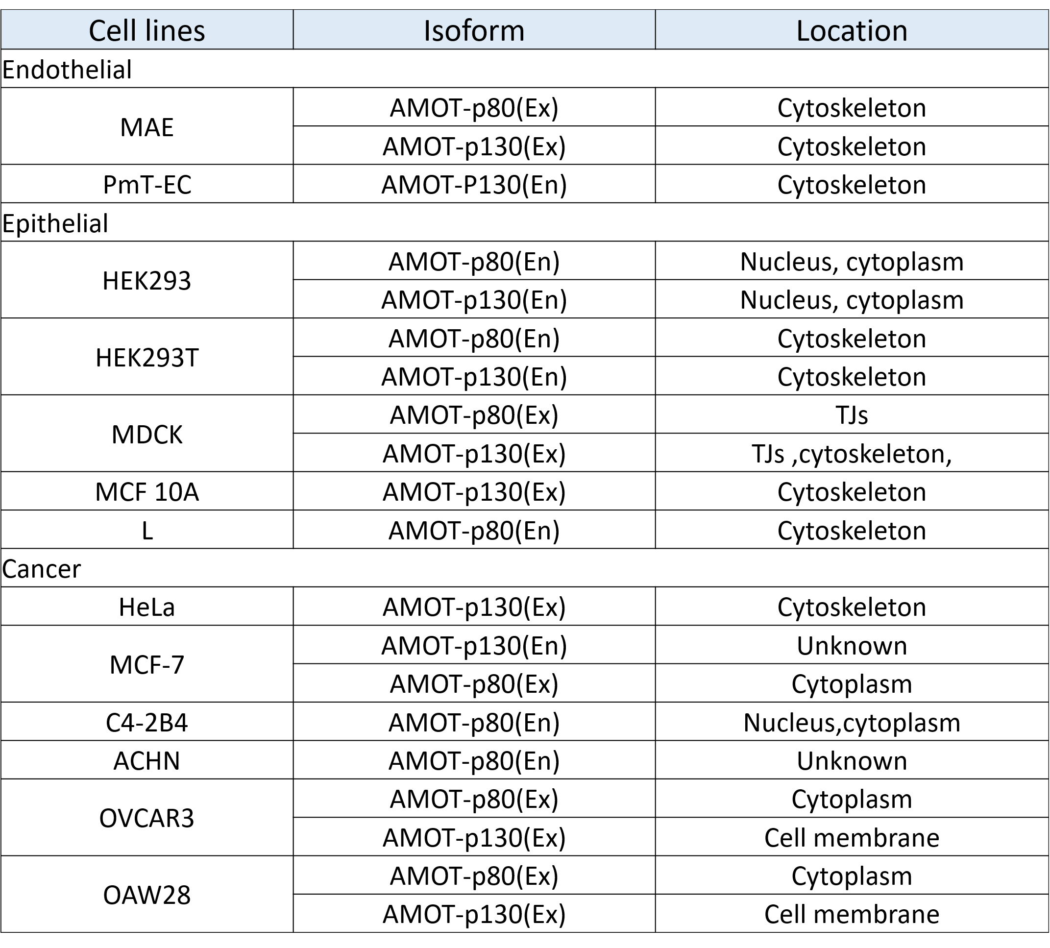 Table 1 The expression and location of AMOT isoforms.