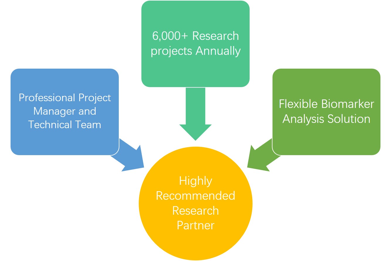 ANK2 Analysis Services