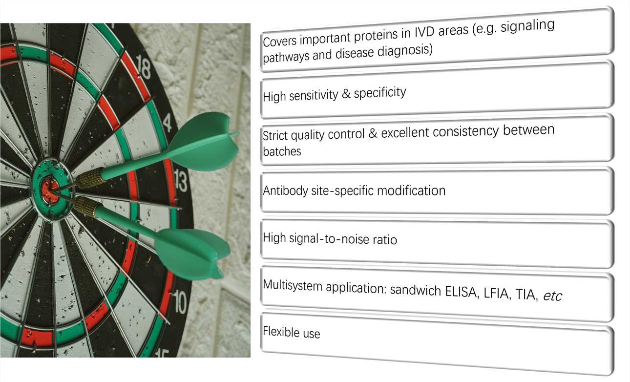 Fig.1 Advantages of antibody pairs. （Creative Biolabs Authorized)