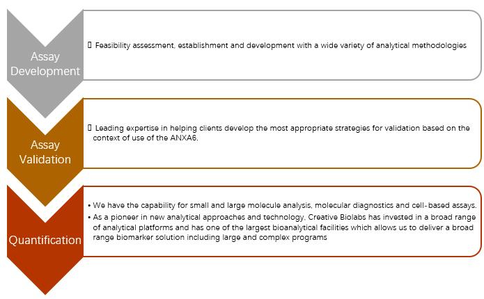 ANXA6 Analysis Services