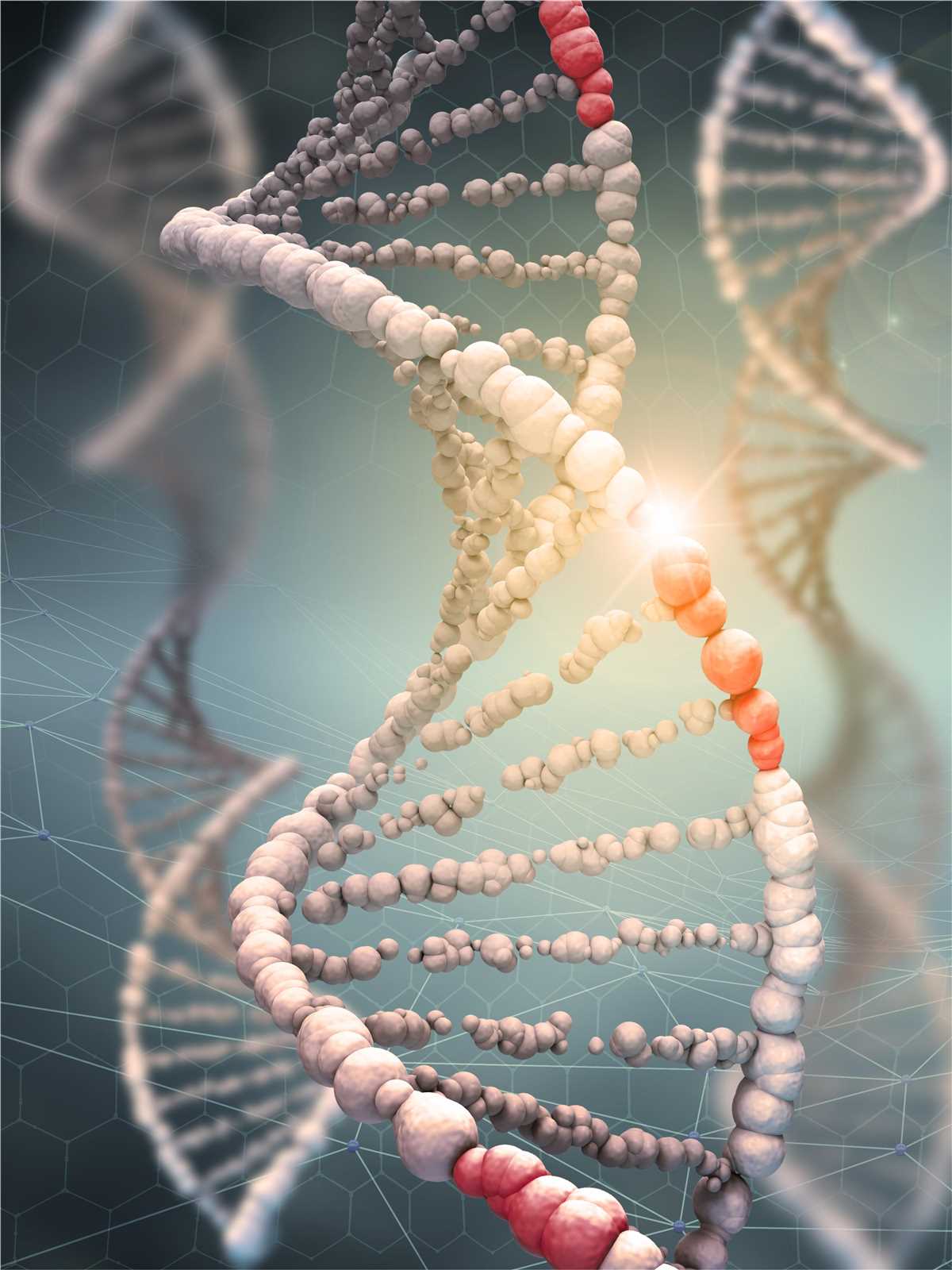 Fig.1 Advantages of DNA aptamers. (Creative Biolabs Authorized)
