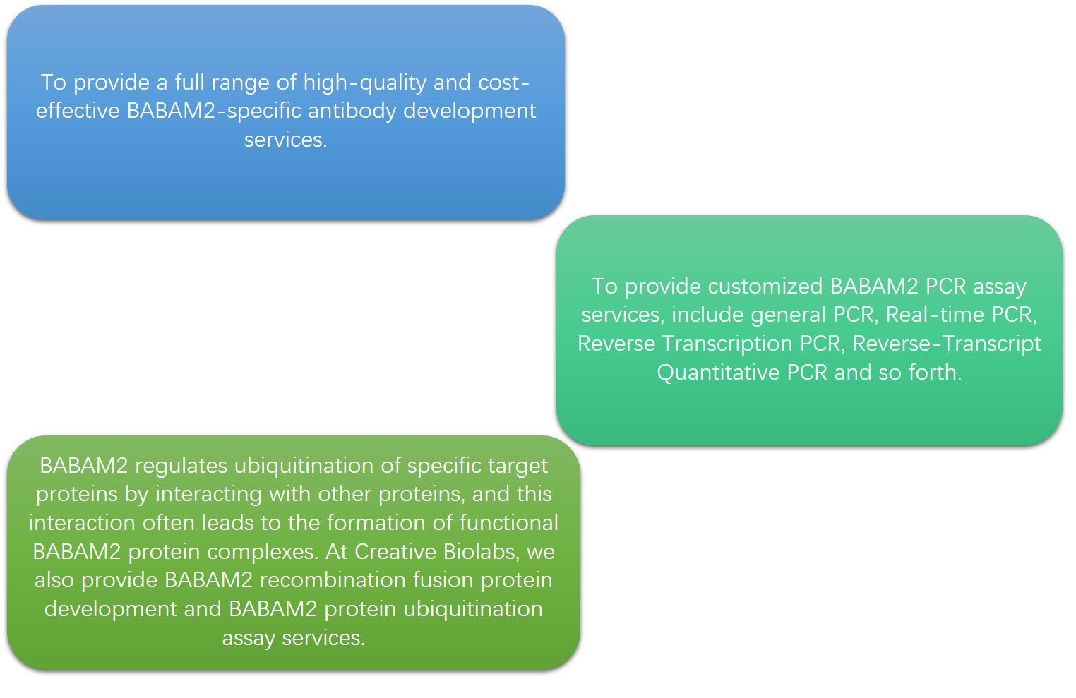 Services Provided by Creative Biolabs
