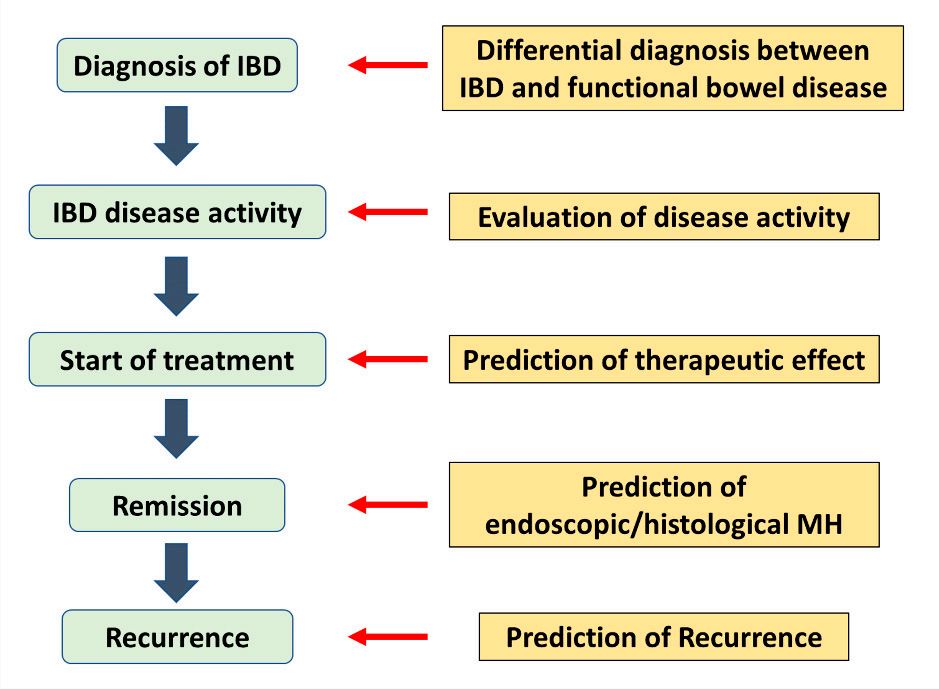 The role of biomarkers in the practice of IBD.