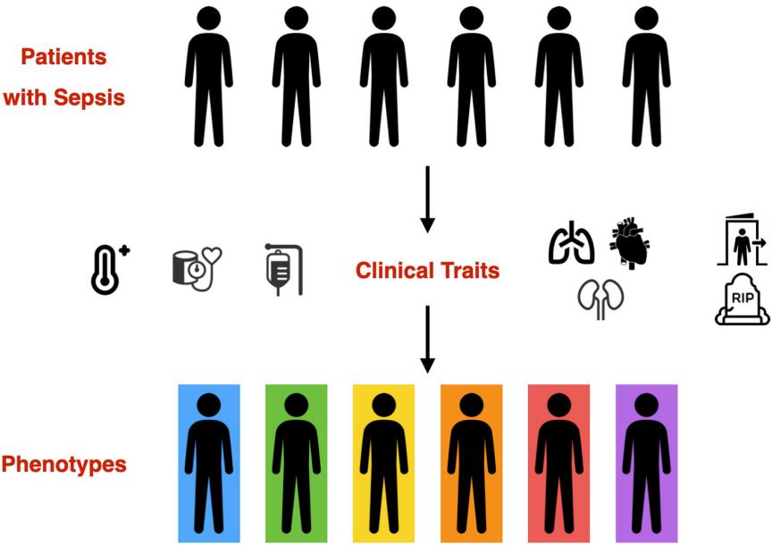 Fig.1 Sepsis phenotyping. (Papathanakos, et al., 2023)