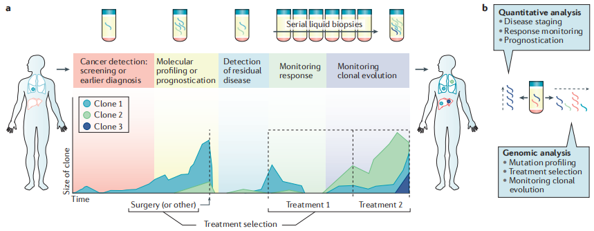 Applications of ctDNA analysis during the course of disease management.