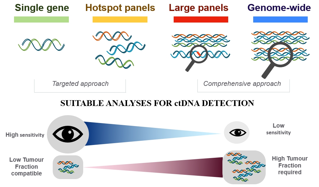 Genome-wide vs. targeted ctDNA profiling.