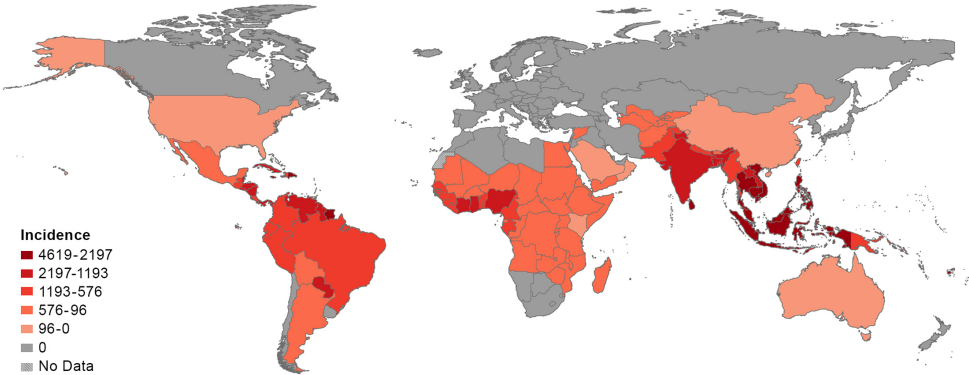 Fig.1 Global dengue incidence in 2013. (Herricks, et al., 2017)
