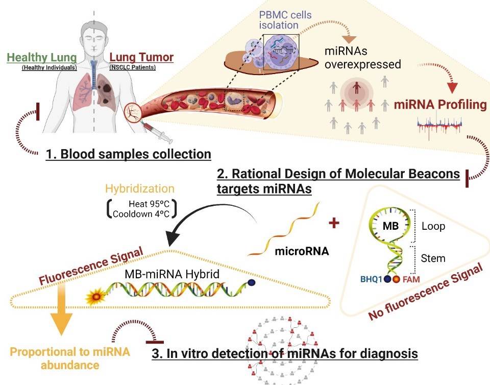 The role of miRNA-21 marker in lung tumor. (Alexandre, et al., 2022)