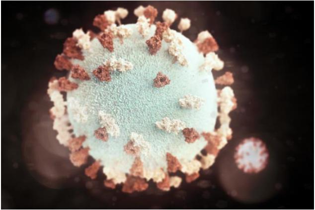Fig.1 Mumps virus morphology. (https://commons.wikimedia.org/wiki/File:21073_lores.jpg)