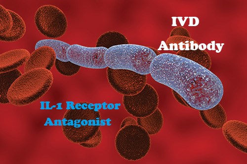 IVD Antibody Development Services for IL-1 Receptor Antagonist Marker