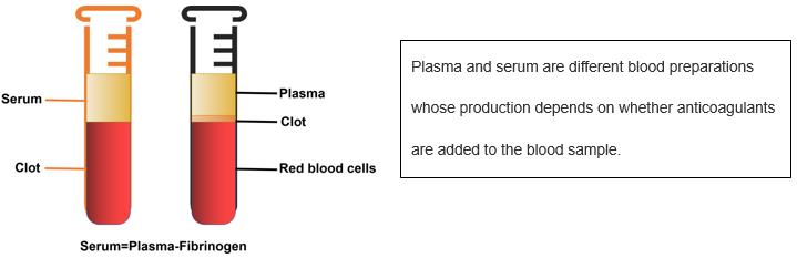 Serum and Plasma Products