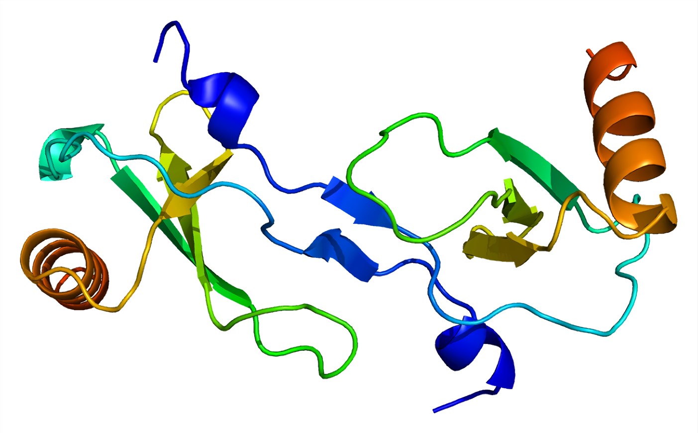 Fig.1 MCP-1 structures. (https://commons.wikimedia.org/wiki/File:Protein_CCL2_PDB_1dok.png)