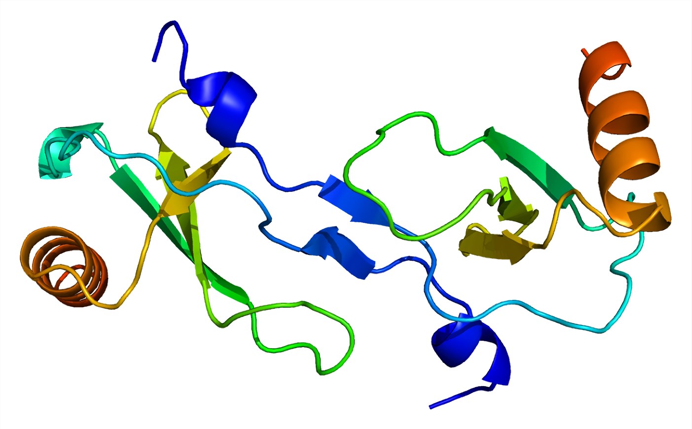 Fig.1 Structures of MCP-1.