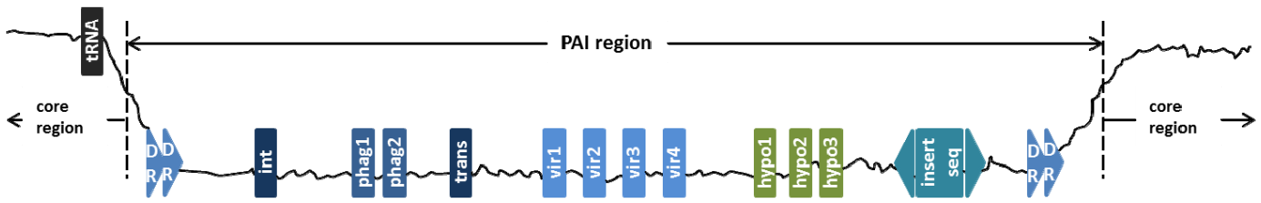 A schematic view of a pathogenicity island with associated features