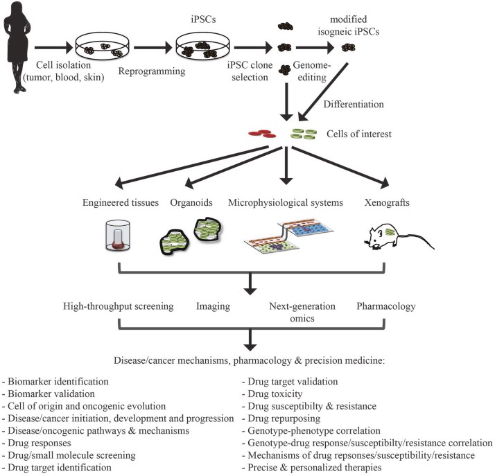 Using iPSCs for modeling diseases, pharmacology, and personalized medicine. (OA Literature)