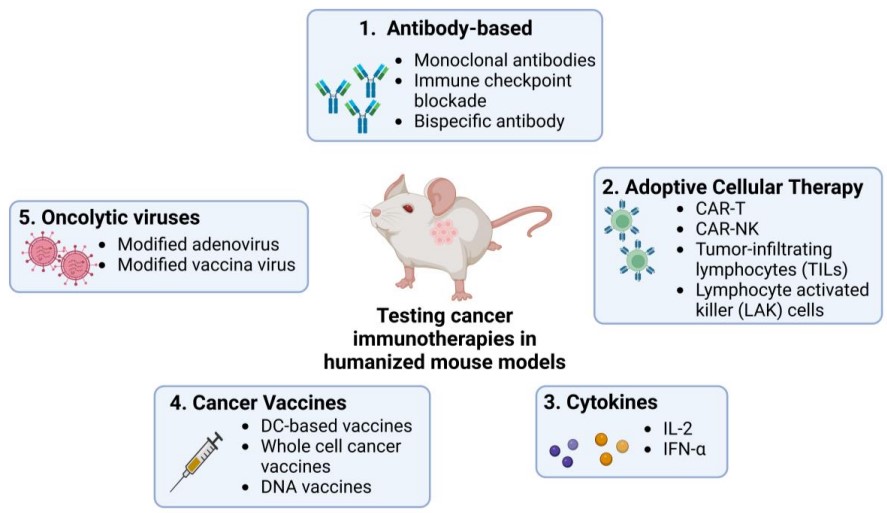 Applications of humanized mouse models. (OA Literature)