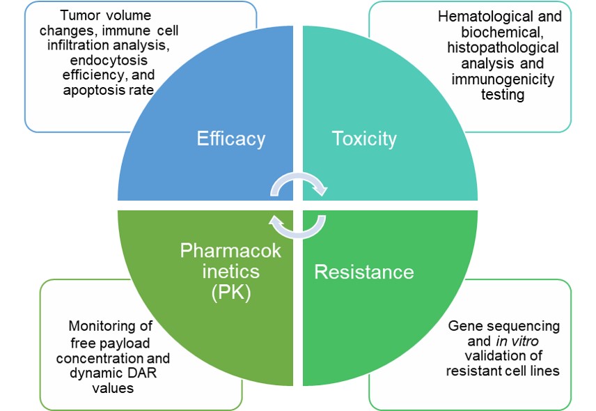 A Schematic representation of the evaluation system. (Creative Biolabs Original)