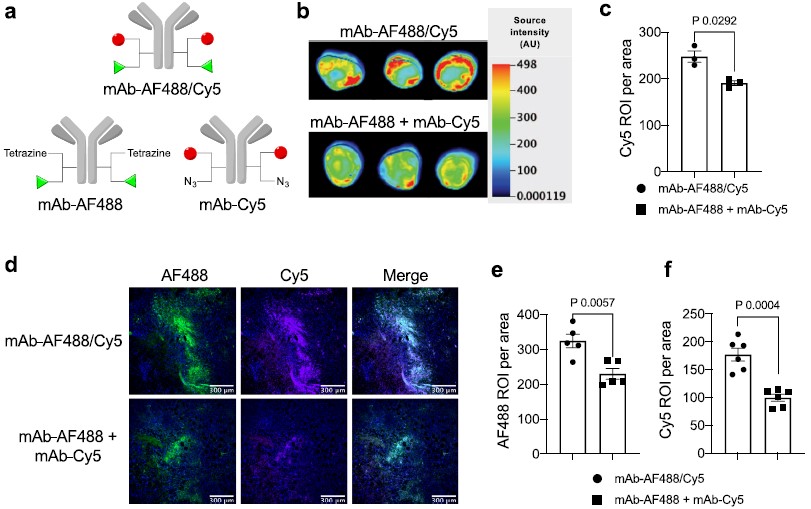 Evaluation of payload delivery efficiency by the dual conjugate format. (OA Literature)
