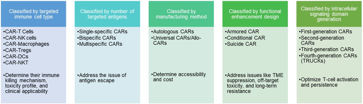 Classification of CAR Cells. (Creative Biolabs Original)