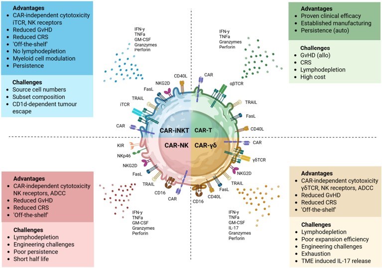 Essential qualities driving car-lymphocyte platform success. (OA Literature)