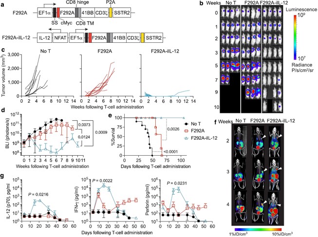 Multi-modal assessment of in vivo therapeutic efficacy. (OA Literature)