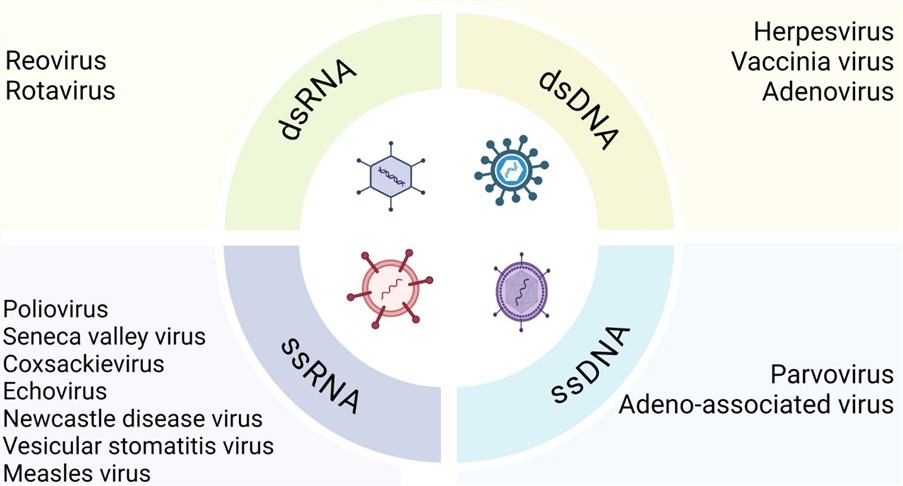 Classification of OVs. (OA Literature)