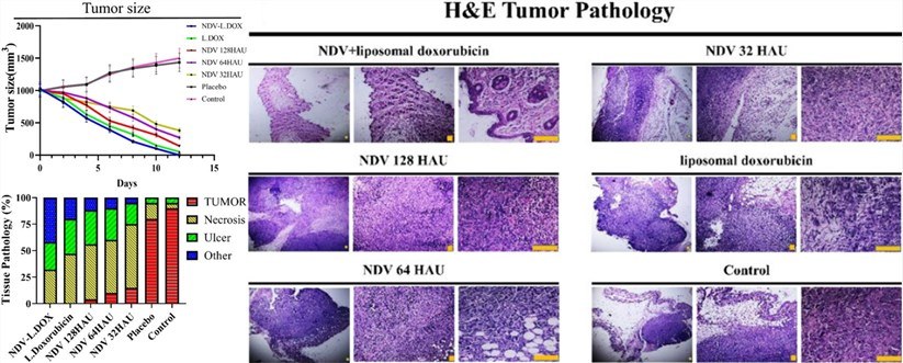 The results of the mouse triple-negative breast cancer model. (OA Literature)