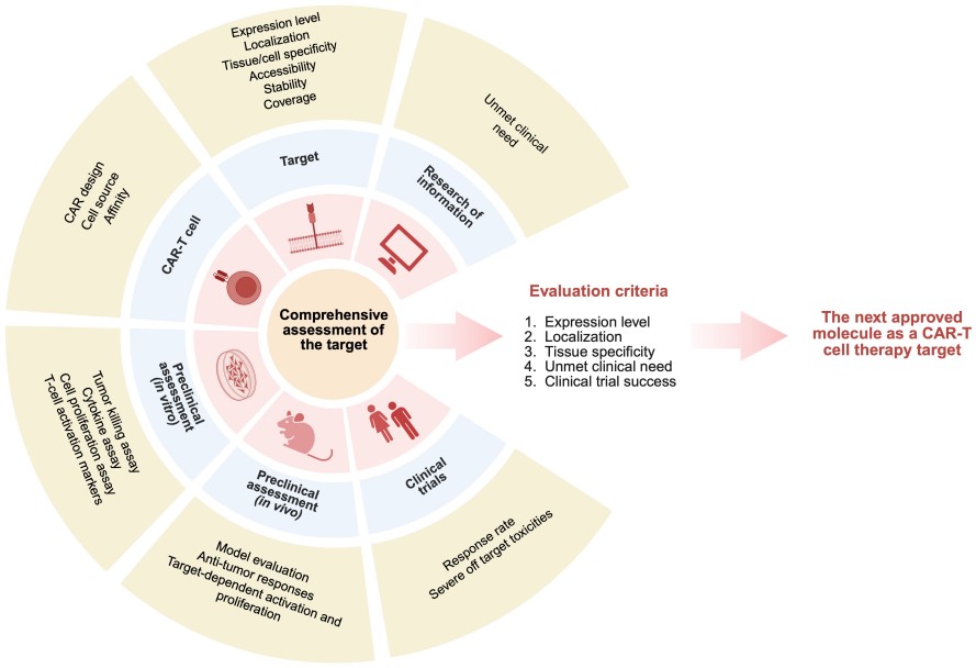 Essential parameters for CAR-T target validation. (OA Literature)