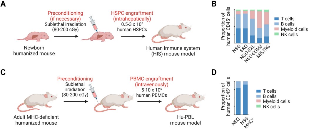 Generating Human Immune System (HIS) Mouse Models. (OA Literature)