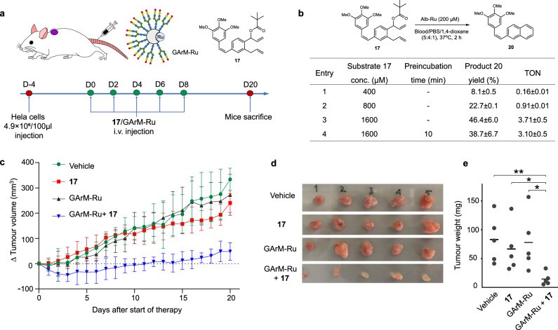 Synthetic Prodrug Intervention Study on HeLa Tumor Progression in a Murine Model. (OA Literature)