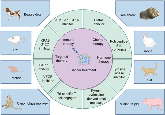 Visualizing the dynamic interaction: cancer treatments meet preclinical animal models. (OA Literature)