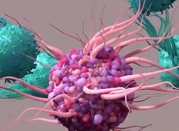 A picture of tumor cells 1. (Creative Biolabs AI)