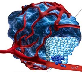 A picture of tumor cells 3. (Creative Biolabs AI)