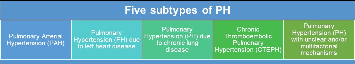 Fig.1 Classification. (Creative Biolabs Original)