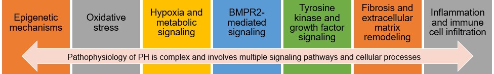Fig.2 Pathogenesis. (Creative Biolabs Original)