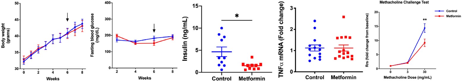 Fig.4 An example of the DIO asthma model. (OA Literature)