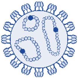  Picture of Virus (Creative Biolabs Authorized)