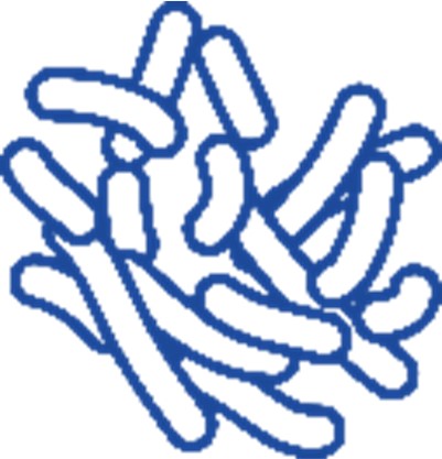 Picture of Bacterial (Creative Biolabs Authorized)