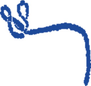 Picture of Parasitic (Creative Biolabs Authorized)