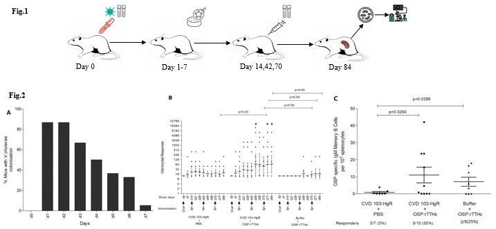 Picture of Cholera Model (OA Literature)