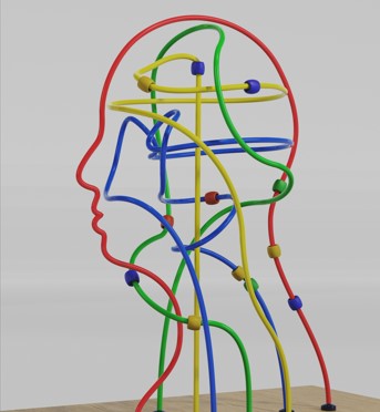 Picture of Sensory System Model (Creative Biolabs Authorized)