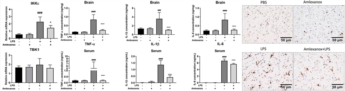 Fig.2 The therapeutic effect of Amlexanox in LPS-induced neuroinflammation mice. (OA Literature)