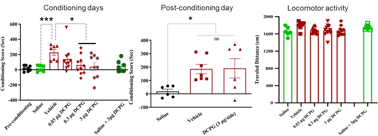 Fig.2 The therapeutic effect of S-3,4-DCPG in morphine-induced rats. (OA Literature)