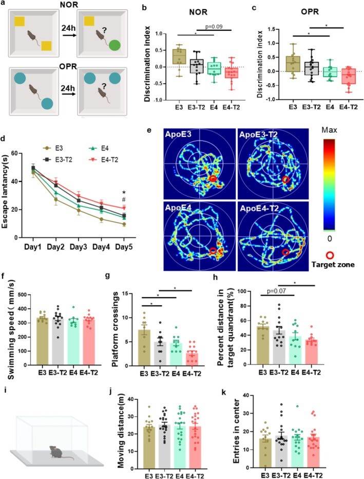 Fig.2 The effect of ApoE4 in type 2 diabetic mice. (OA Literature)