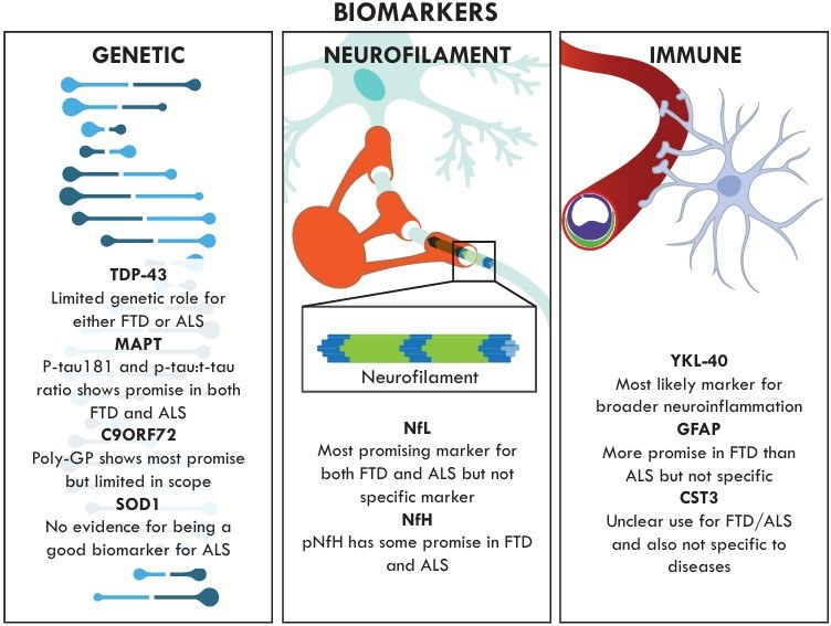 Fig.1 Biomarker development in frontotemporal dementia and ALS. (OA Literature)